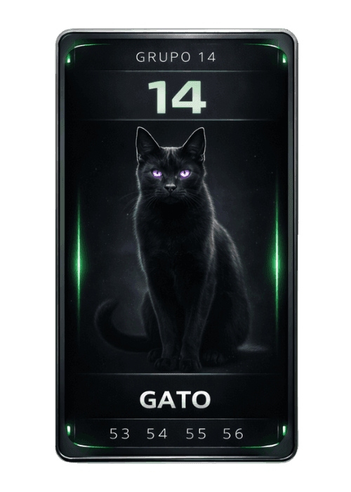 Gato