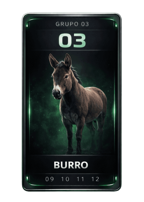 Burro